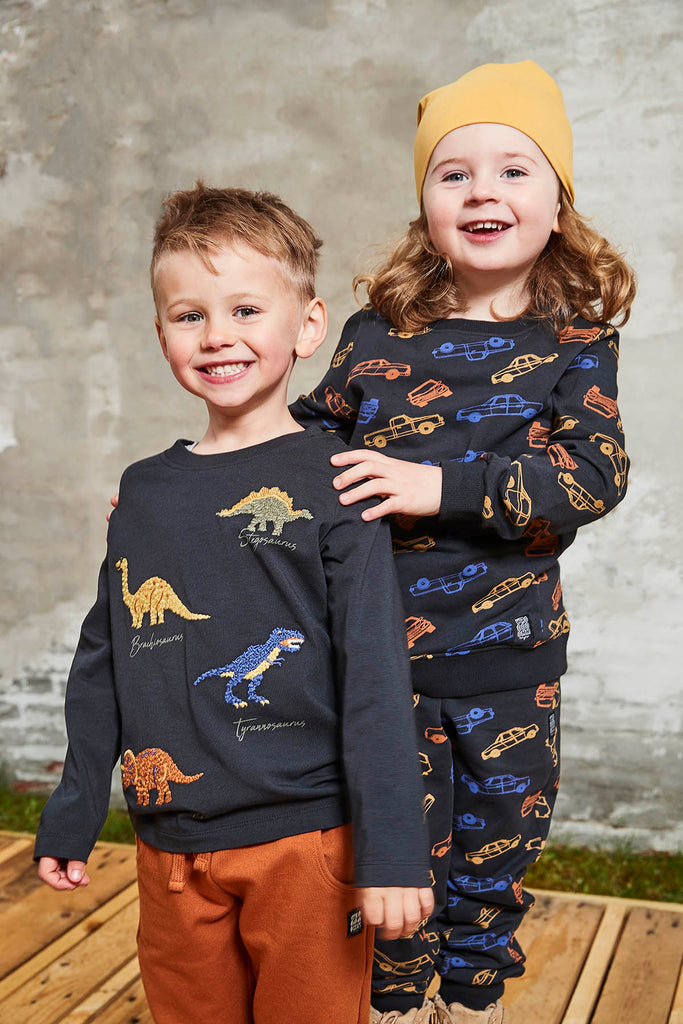 Long Sleeved Organic Cotton Top - Dinosaurs, ages from 3-6